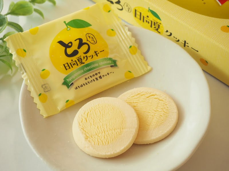 とろチョコ日向夏クッキー－中身の写真