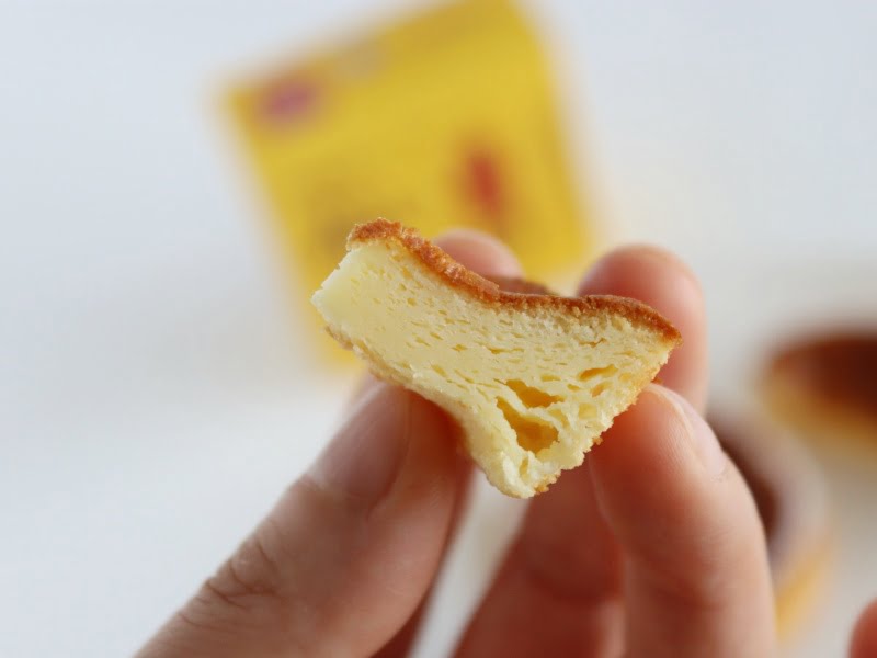 赤いサイロ　断面