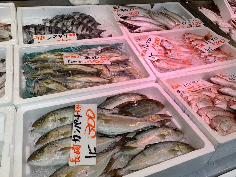 日本海鮮魚センター　旬の魚