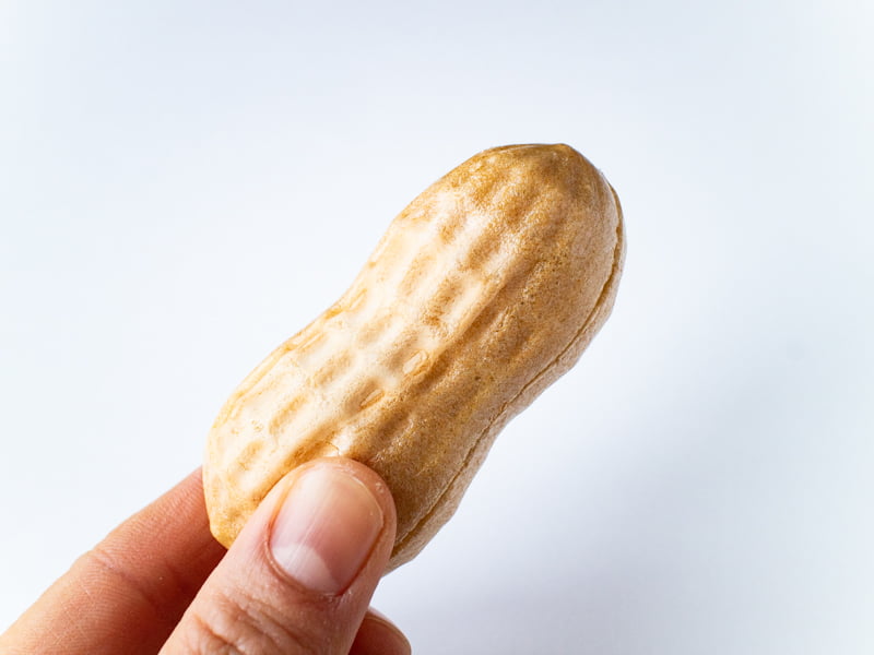 なごみの米屋ぴーなっつ最中を持つところ