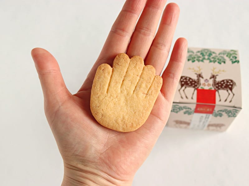 大仏の手くっきぃ 掌に乗せたところ