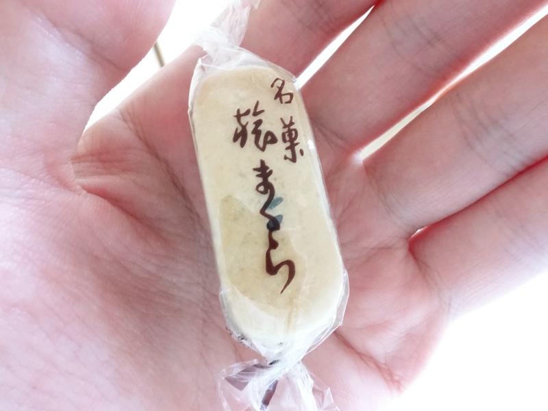 旅まくら1個を手に取ってみた