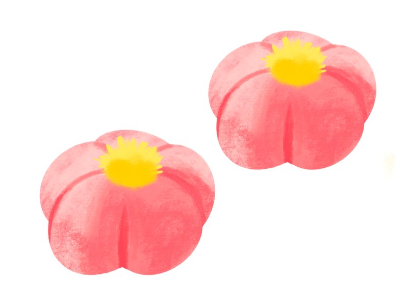 練りきり　イラスト