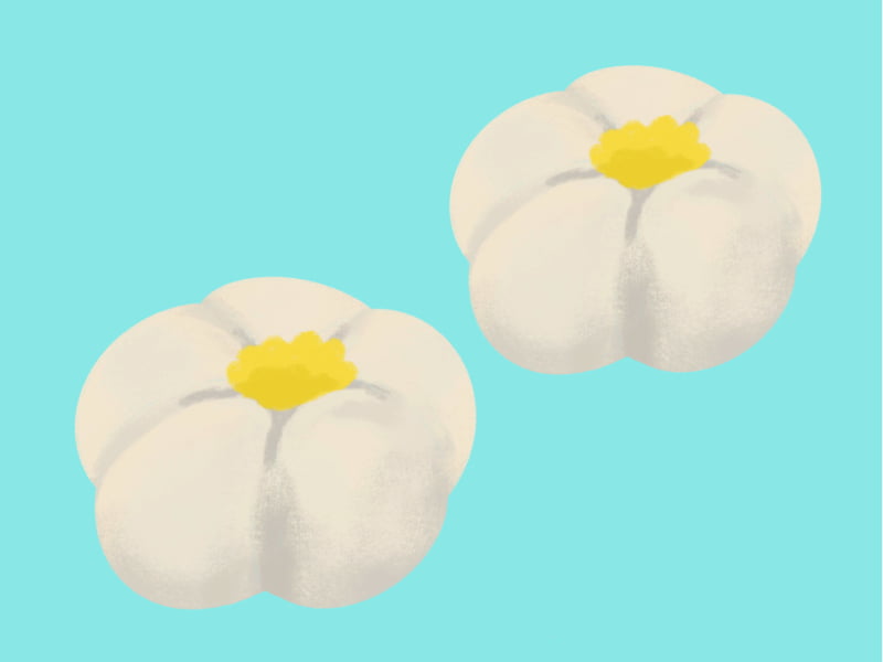 雪平　イラスト