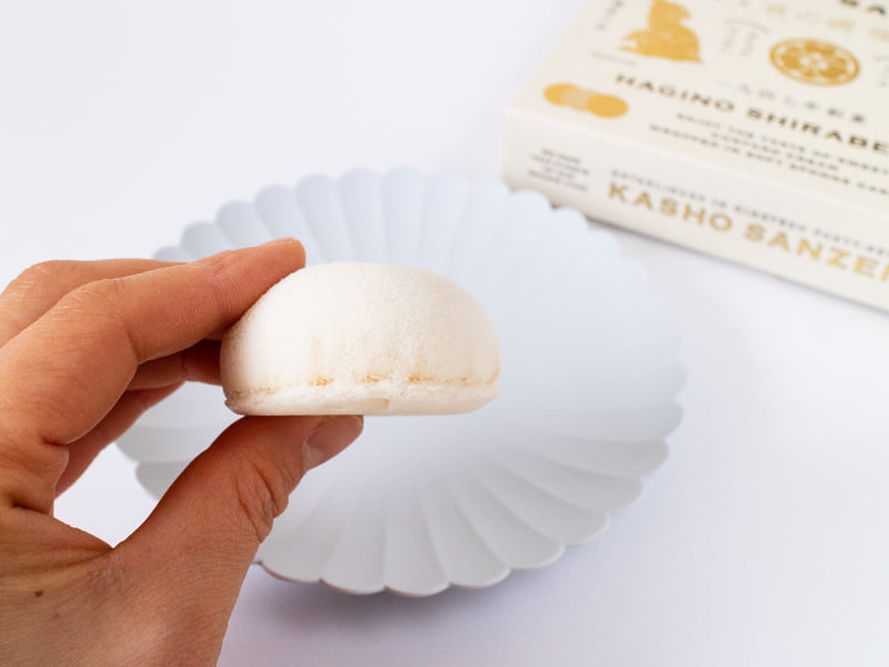 萩の調 煌ホワイトを持つところ