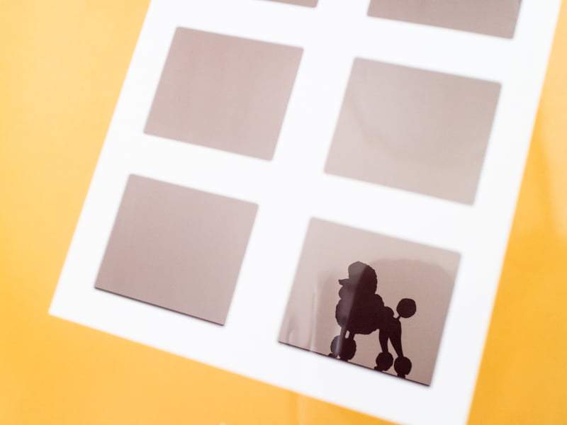 ハラダ グーテ・デ・レーヌ キャラメルショコラの箱