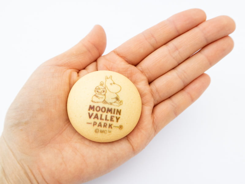 チョコインクッキーを手に乗せたところ