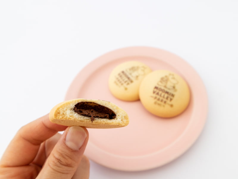 チョコインクッキーの断面