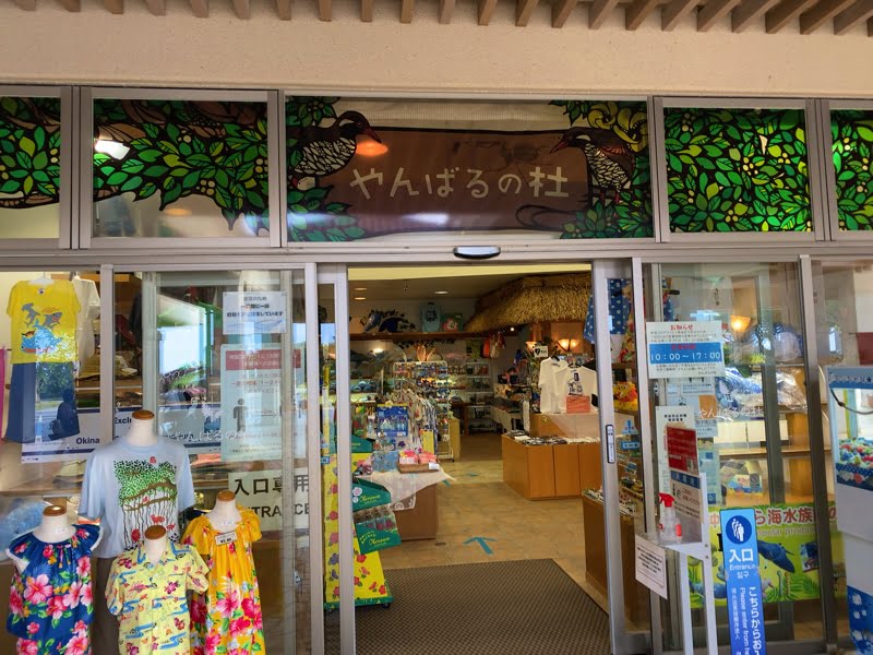 沖縄美ら海水族館のお土産売り場 やんばるの杜