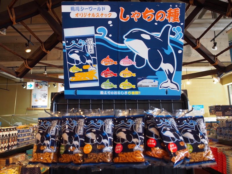 鴨川シーワールドのしゃちの種