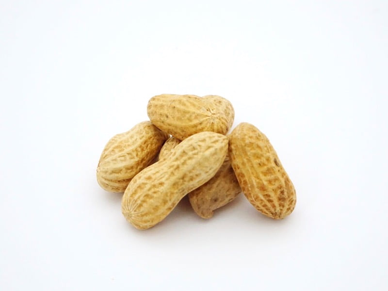 やます落花生 豆の形