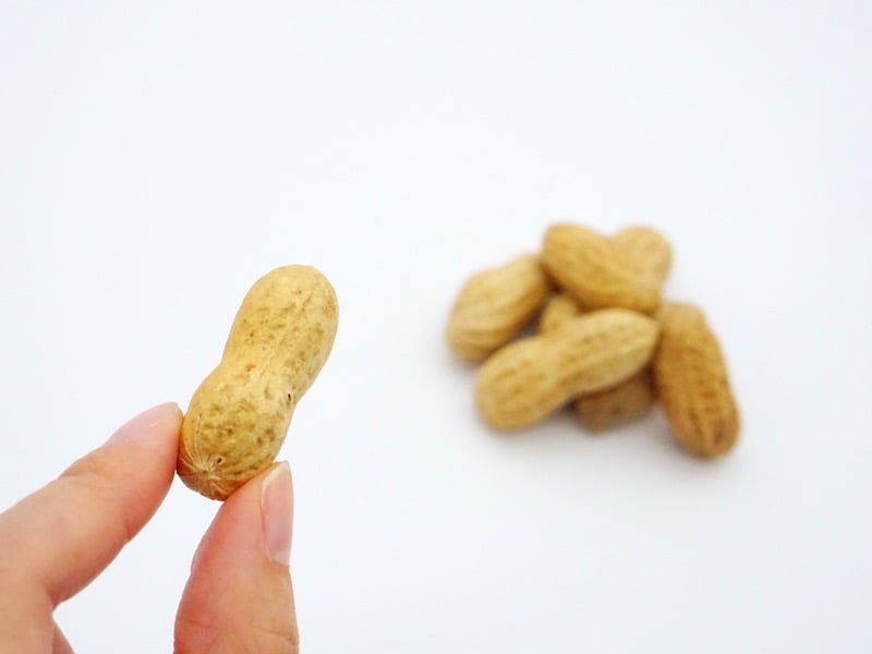 やます落花生 殻つき