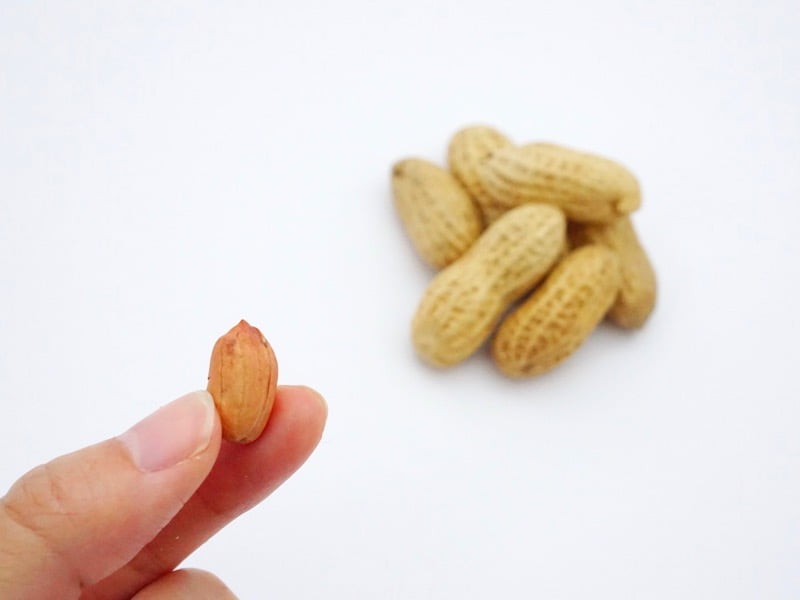 やます落花生 薄皮付き