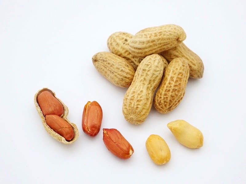 やます落花生 並べたところ