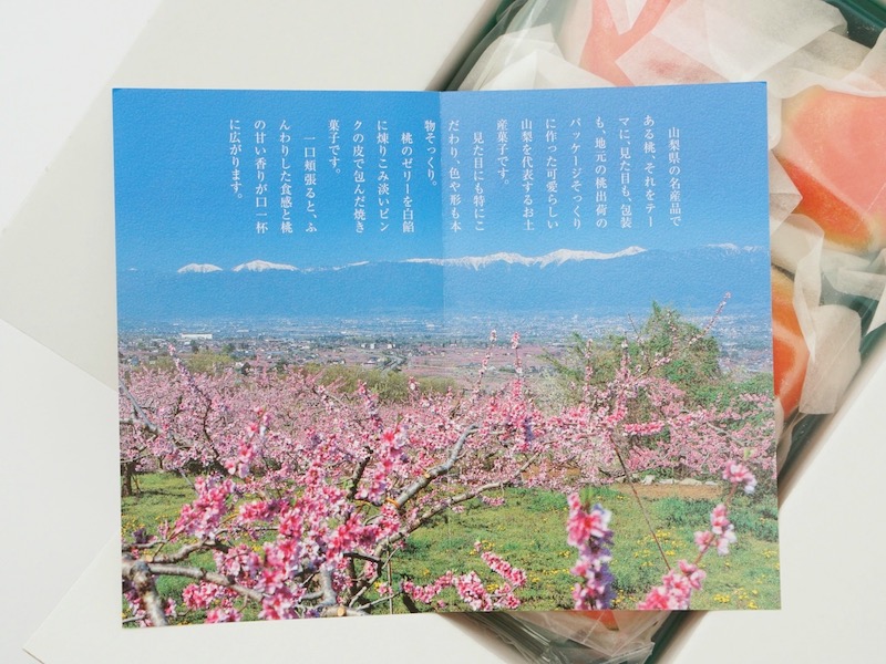 桔梗屋 信玄桃 お菓子のしおり
