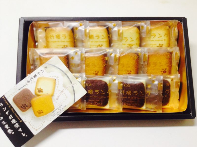 神戸生まれのみけ猫ラング 内装