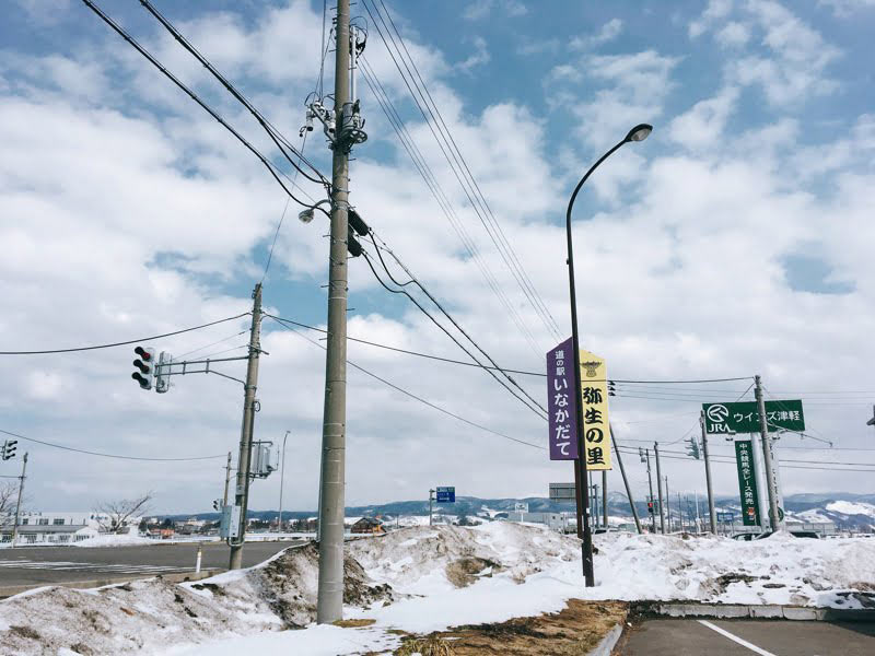 道の駅いなかだて看板