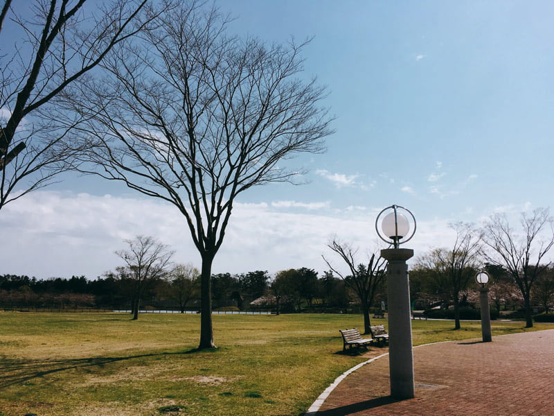道の駅てんのう公園