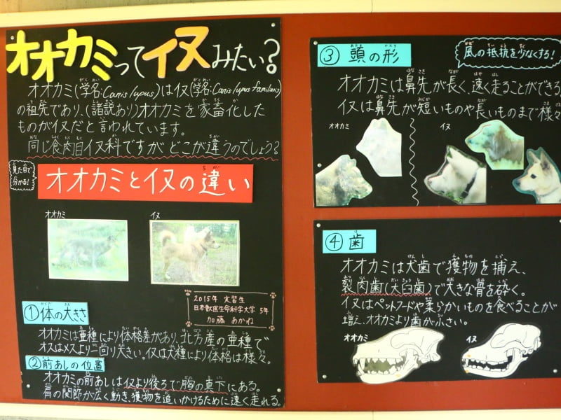 旭山動物園説明書き
