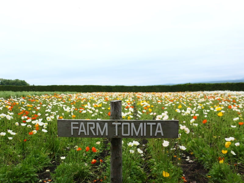 ファーム富田1