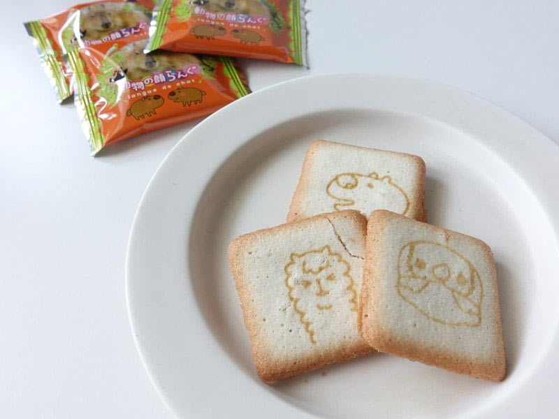 神戸どうぶつ王国動物の顔らんぐ中身