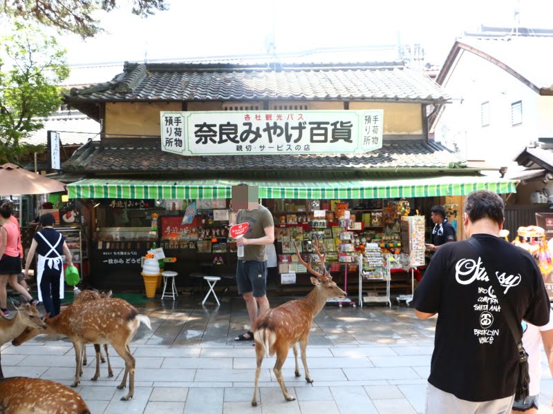 東大寺南大門付近のお土産ショップ