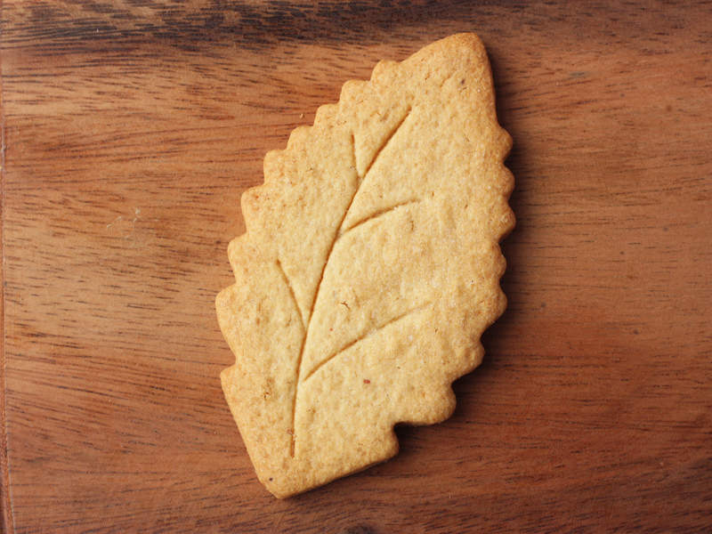 信州里の菓工房　栗サブレ　プレーンの写真