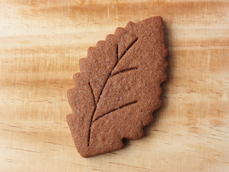 信州里の菓工房　栗サブレ　ココアの写真