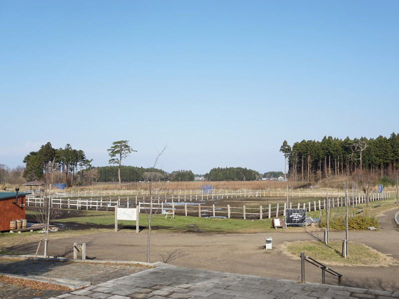 道の駅みさわ乗馬コーナー