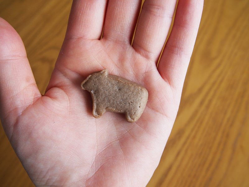 子牛サブレ　サイズ