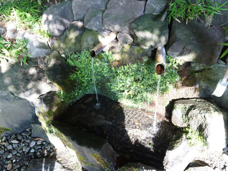 道の駅はちもりお殿水2