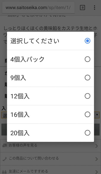 さいとう製菓オンラインショップ 画面写真4