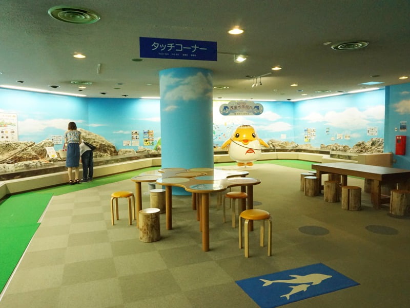 浅虫水族館 タッチコーナー