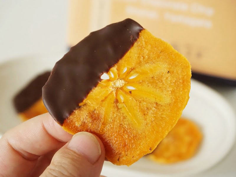 北家 山形庄内柿チョコチップアップ