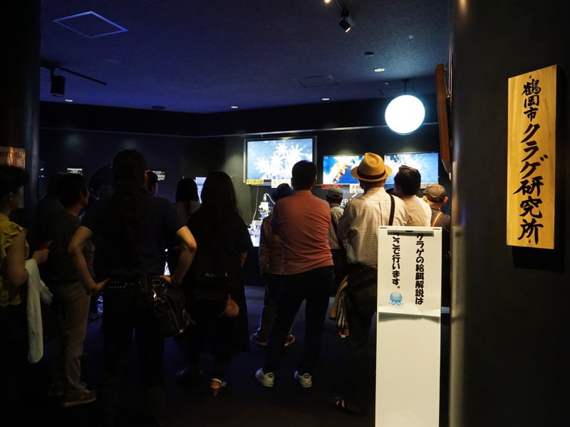 加茂水族館くらげ解説