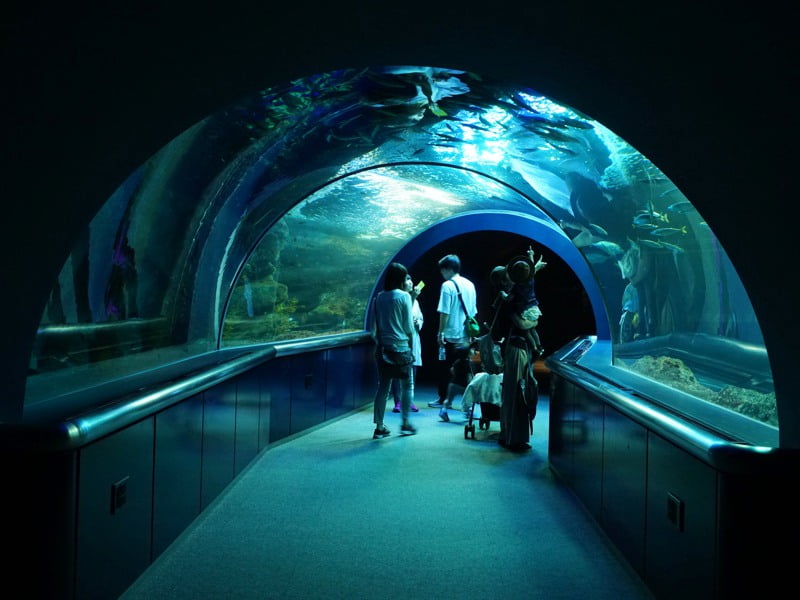 マリンピア日本海大水槽