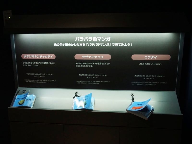 マリンピア日本海展示6