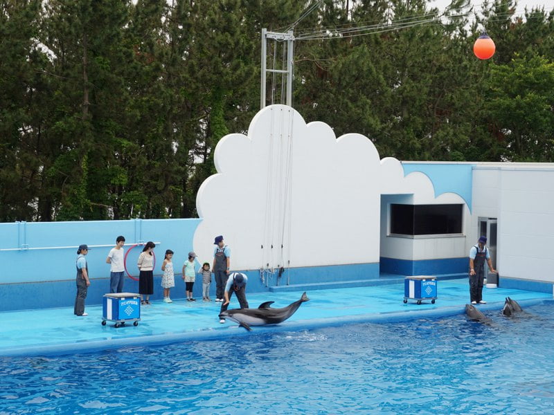 マリンピア日本海イルカショー3
