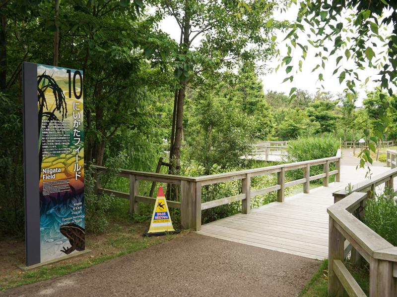 マリンピア日本海にいがたフィールド