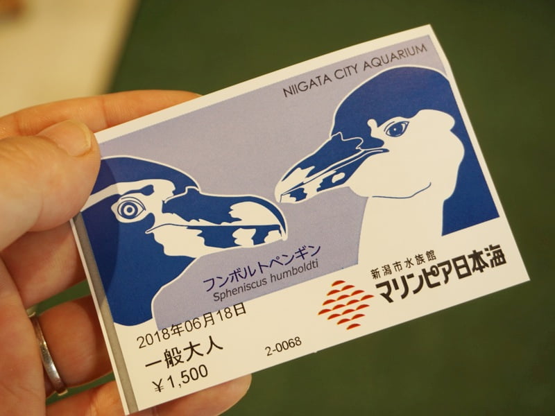 マリンピア日本海チケット