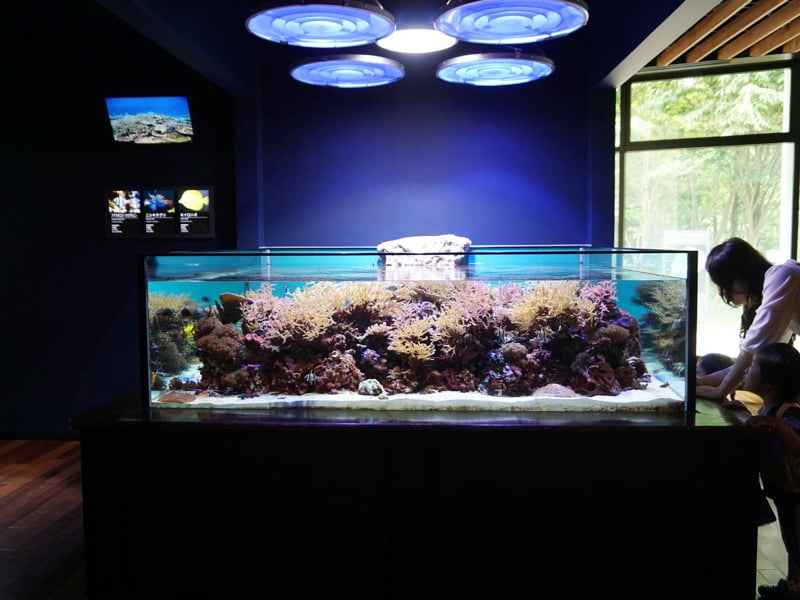 マリンピア日本海水槽
