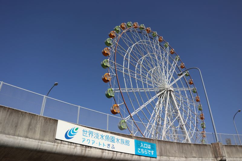 川島PA　観覧車　河川環境楽園