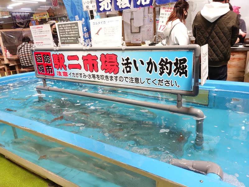 函館朝市のイカ釣り