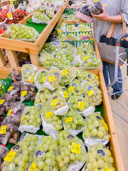 道の駅 笠岡ベイファーム:店内のようす