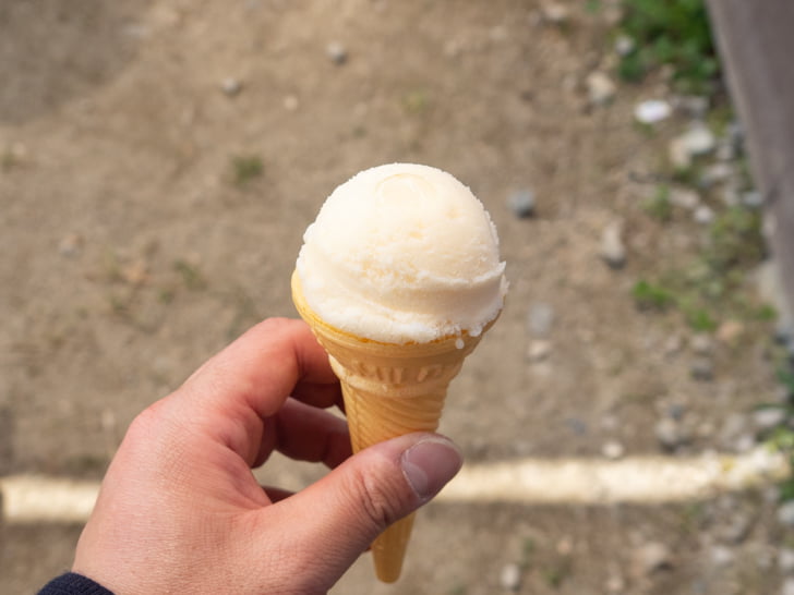 道の駅 笠岡ベイファーム:露店 菜の花アイス