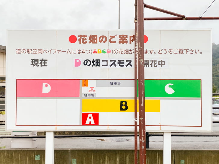 道の駅 笠岡ベイファーム:花畑