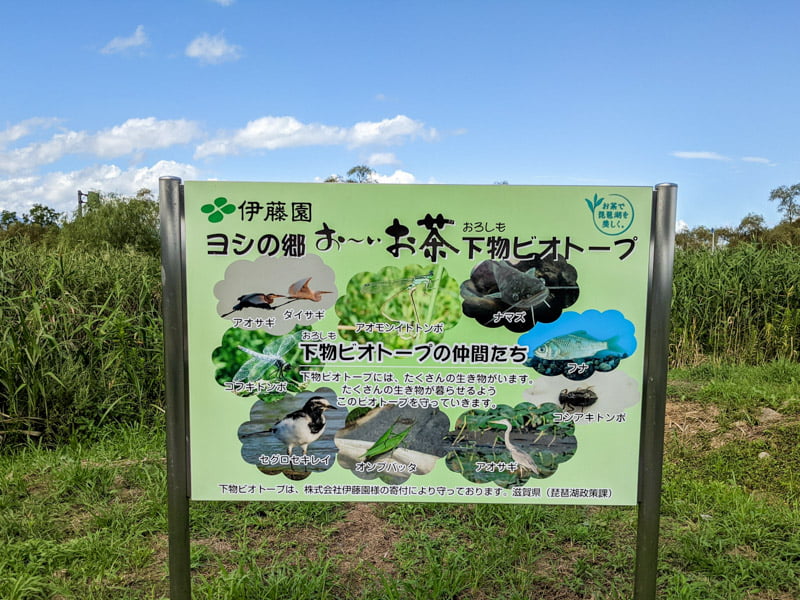 下物ビオトープ