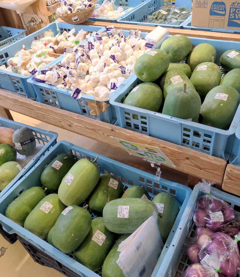 道の駅草津で販売されている野菜