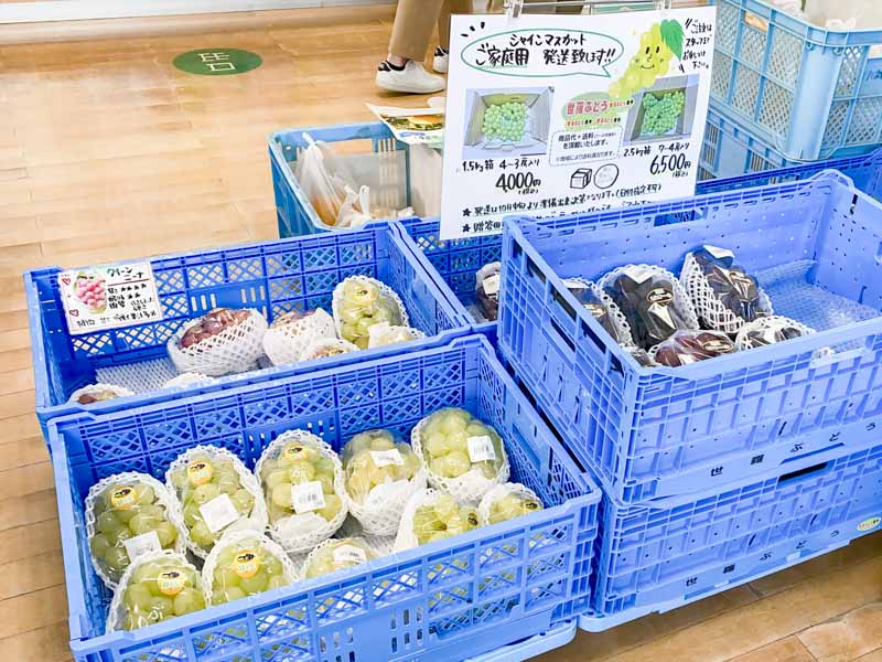 道の駅 世羅：果物販売