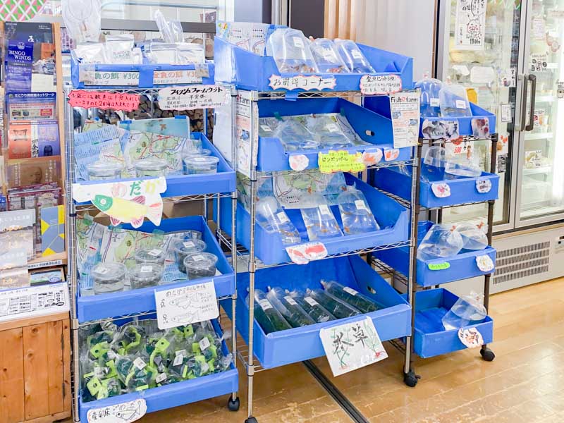 道の駅 世羅：金魚・メダカ販売
